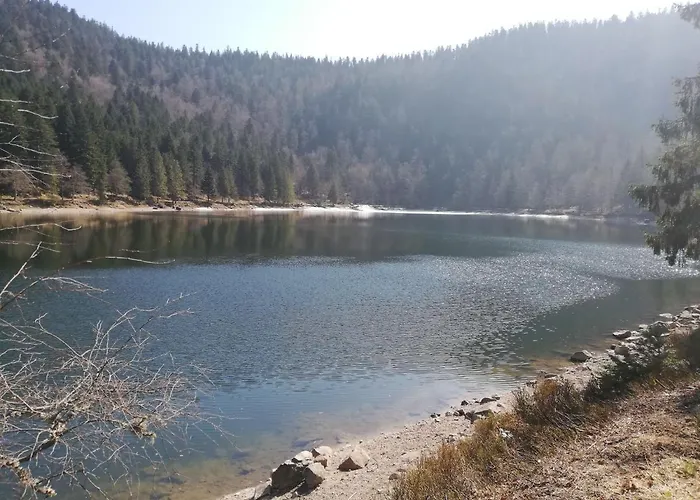 Lägenhet De La Voie Verte Gitesdes2vallees